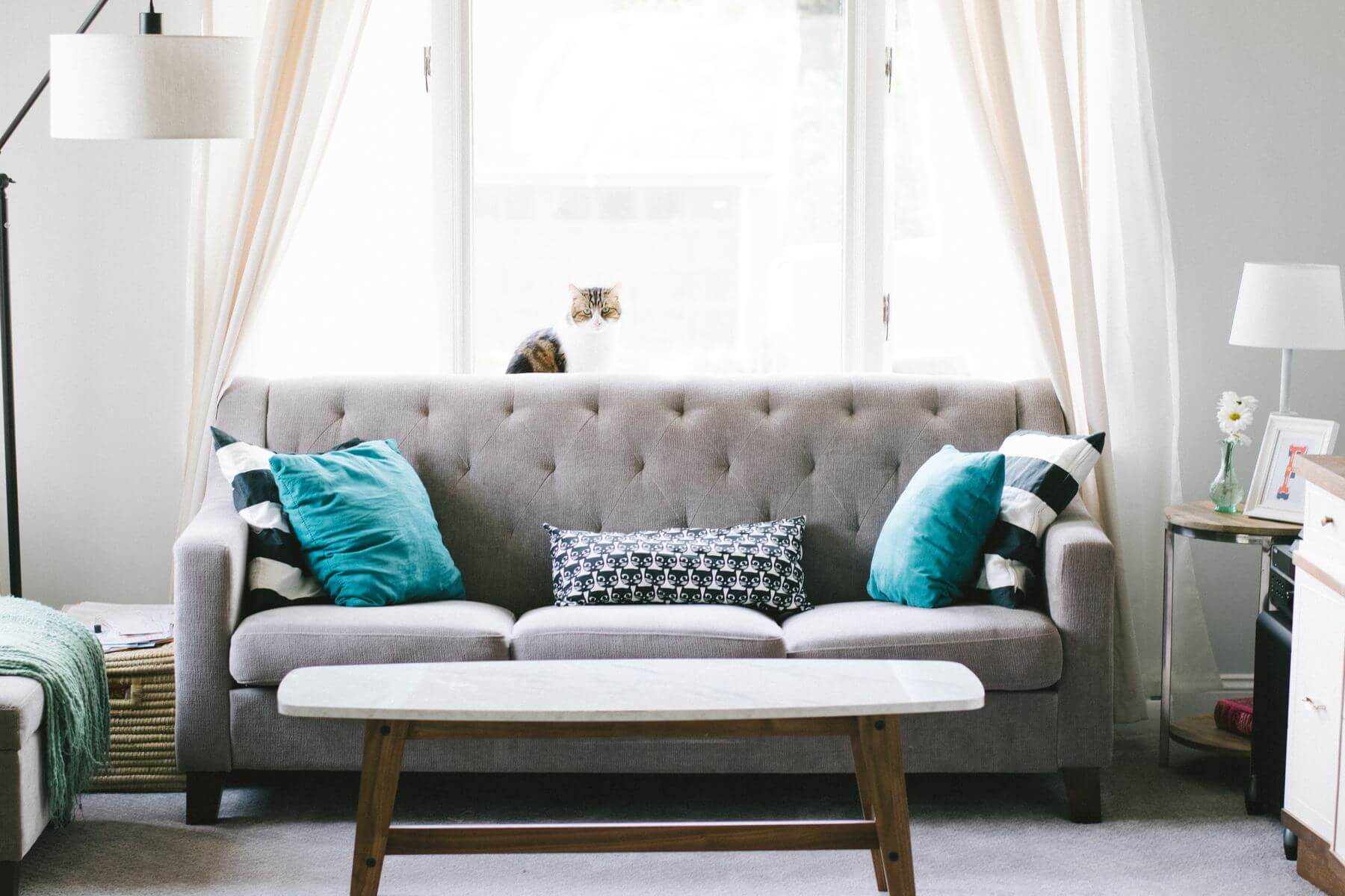 Refresh Your Upholstery